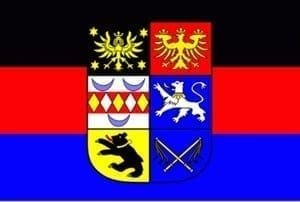 Oost Friesland Region vlag