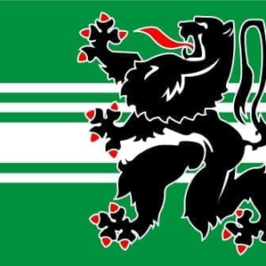 East Flanders flag