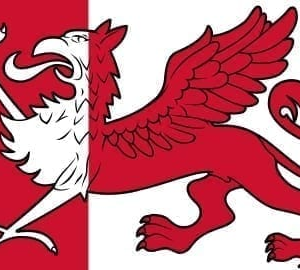 Ooststellingwerf Gemeentevlag