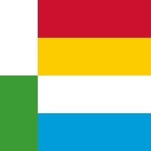 Oss Gemeentevlag
