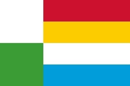 Oss Gemeentevlag