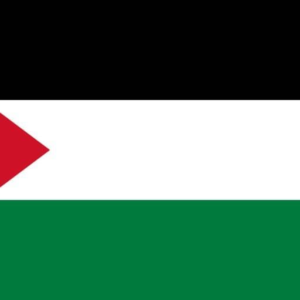 Palestine flag