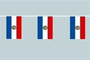 Paraguay flag Bunting 6M lang