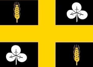 Raalte Gemeentevlag