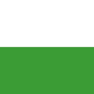 Ridderkerk Gemeentevlag