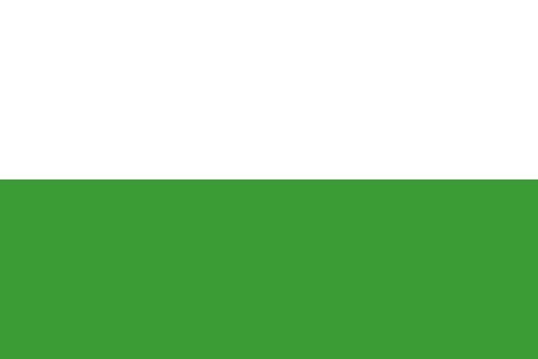 Ridderkerk Gemeentevlag