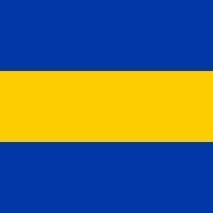 Rijswijk Gemeentevlag