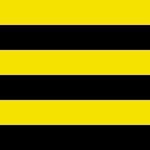 Schiedam Gemeentevlag