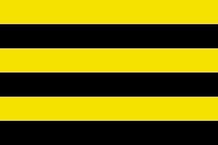 Schiedam Gemeentevlag