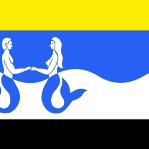 Schouwen-Duiveland Gemeentevlag