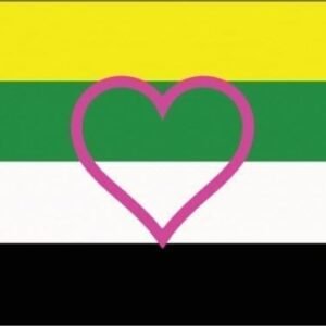 Skoliosexual flag