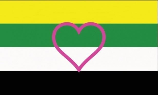 Skoliosexual flag