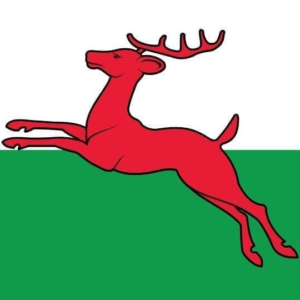 Smallingerland Gemeentevlag