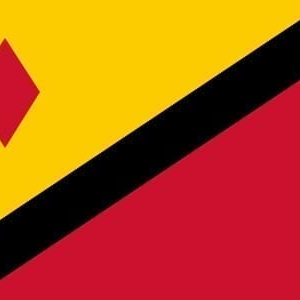 Stein Gemeentevlag
