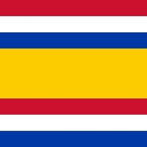 Tholen Gemeentevlag