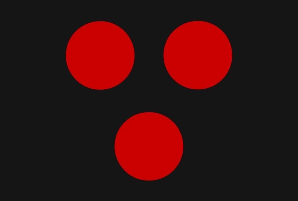 Timur Sancak flag
