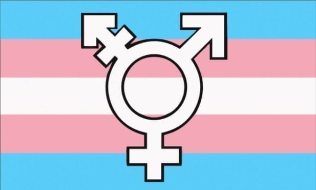 Transgender New Pride Symbols flag