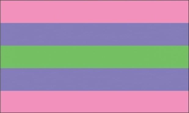 Trigender flag