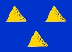 Tubbergen Gemeentevlag