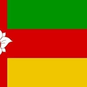 Tynaarlo Gemeentevlag