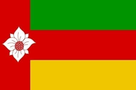 Tynaarlo Gemeentevlag