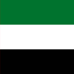 UAE United Arab Emirates flag