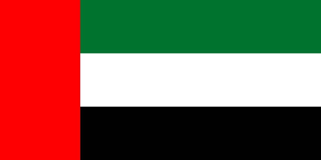 UAE United Arab Emirates flag