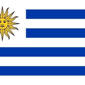 Uruguay flag