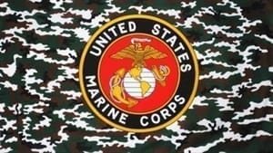 USA Marine Camouflage flag