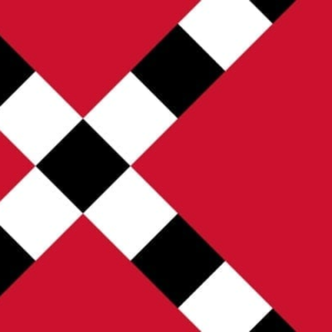 Veghel Gemeentevlag