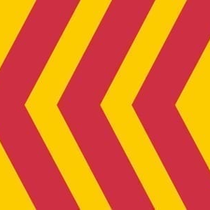 Voorst Gemeentevlag