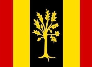 Waalwijk Gemeentevlag