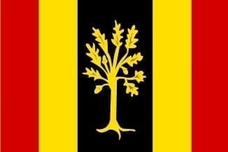 Waalwijk Gemeentevlag
