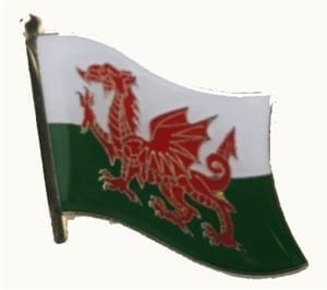 Wales flag lapel pin