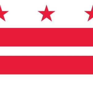 Washington DC flag