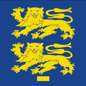 West Friesland flag