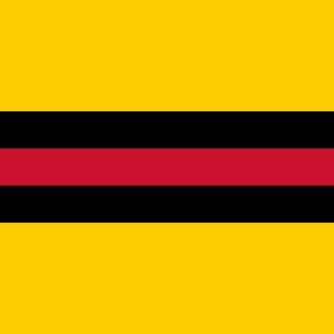 Woudenberg Gemeentevlag