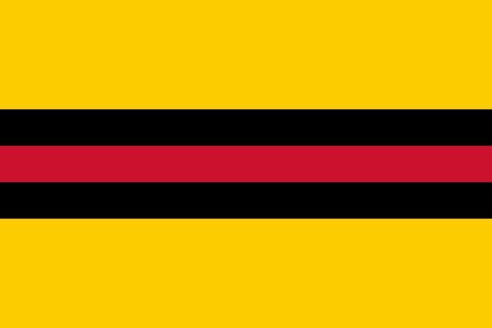 Woudenberg Gemeentevlag
