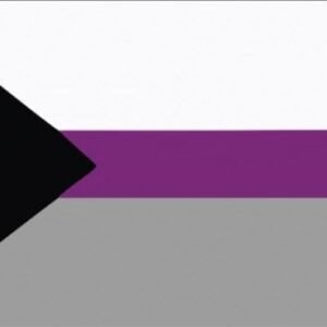Demisexuality flag