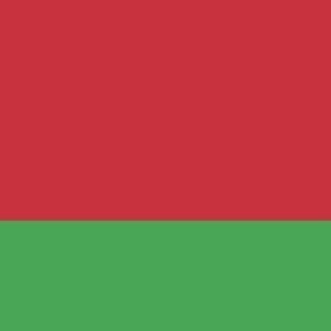 Belarus White Russia flag